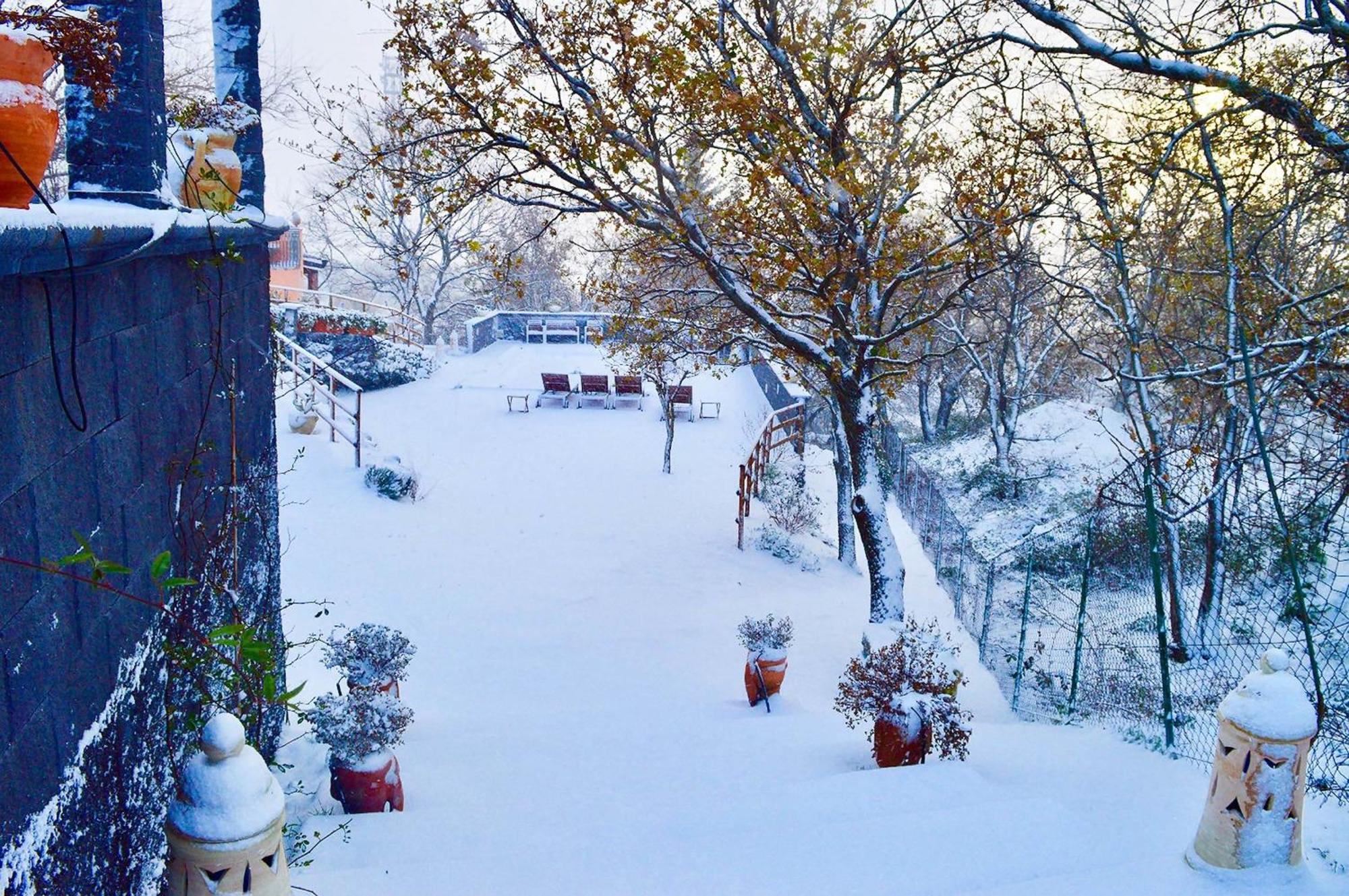 Villa Del Gelso Chalet Nel Parco Delletna Mascali Ngoại thất bức ảnh